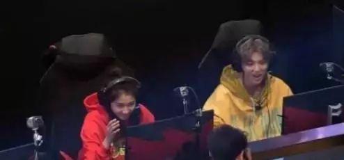 国产鸡情,探寻我国鸡肉产业的崛起之路