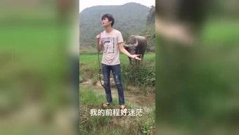国产福利视频抄底视频
